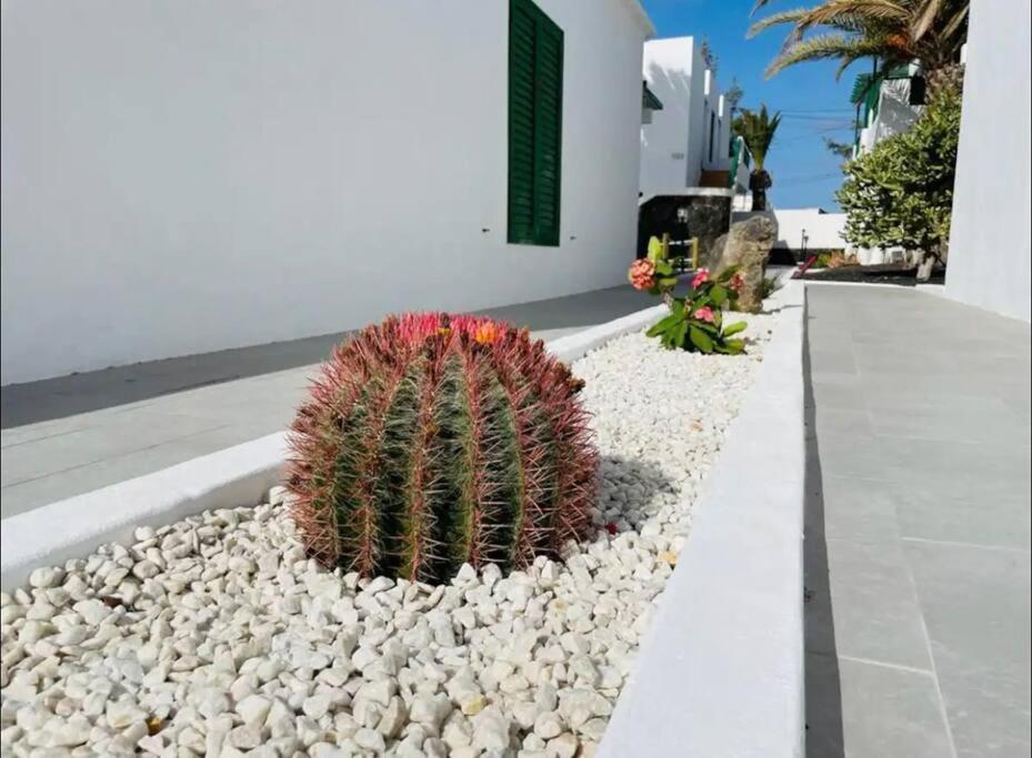 Refugio Del Caracol Διαμέρισμα Πουέρτο Ντελ Κάρμεν Εξωτερικό φωτογραφία